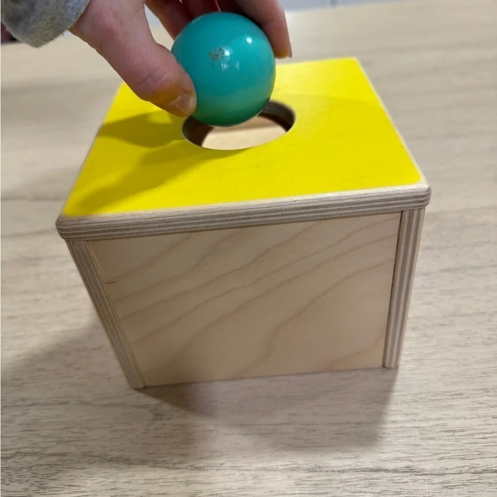 Lovevery ball drop wooden toy baby toddler montessori inspector play kit 6-12